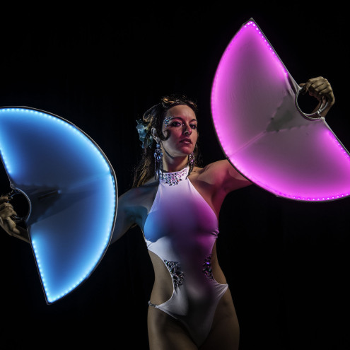 LED FAN with disperse Light – MOON FANS